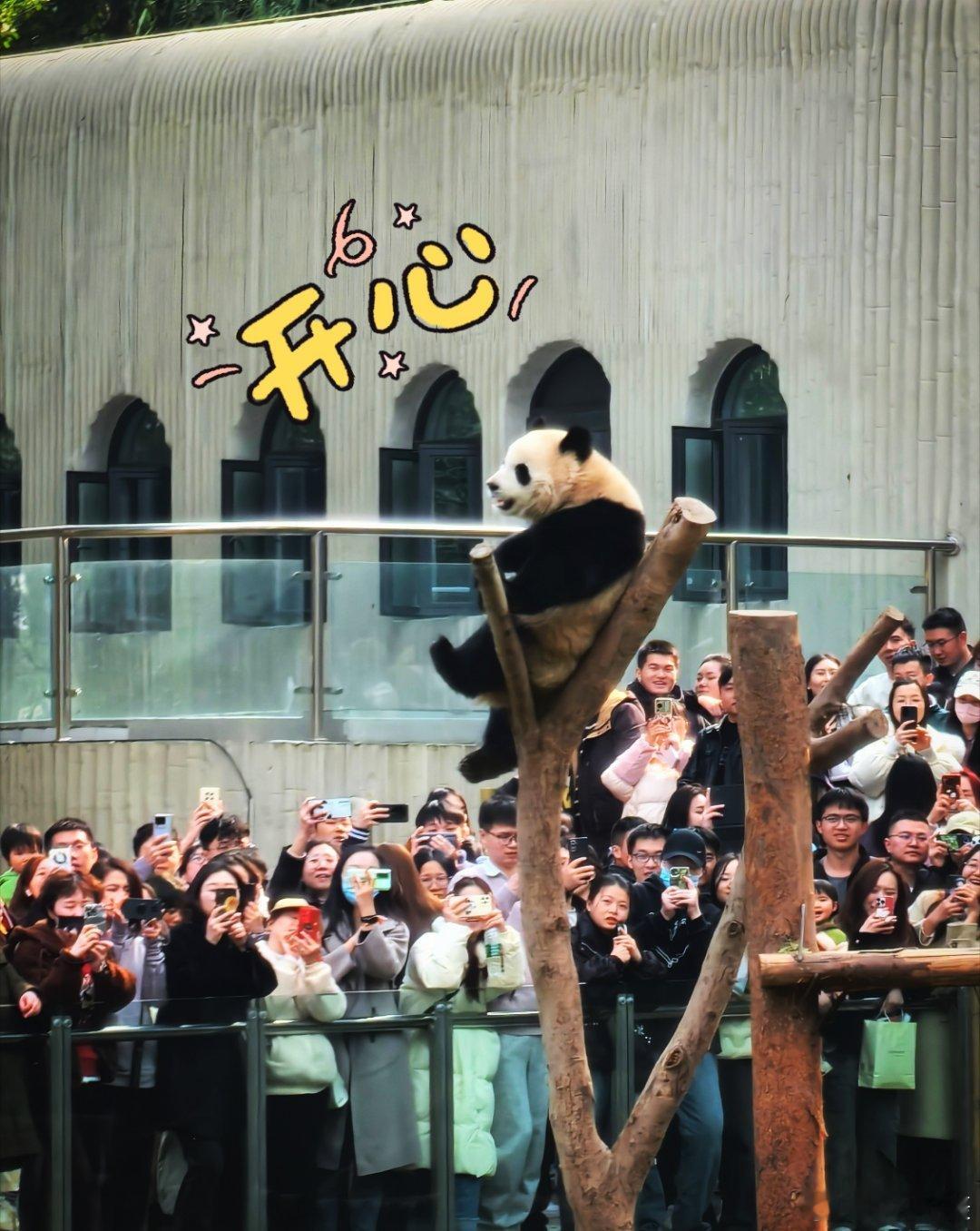 又该说晚安啦…欢迎大家来我的家乡重庆🥰 