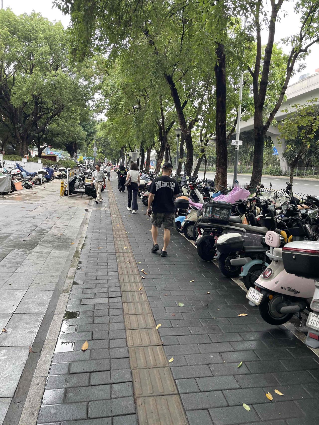 我生活在广西河池，这可是个宝藏城市。它有“世界长寿之乡”等诸多美称，喀斯特地貌美