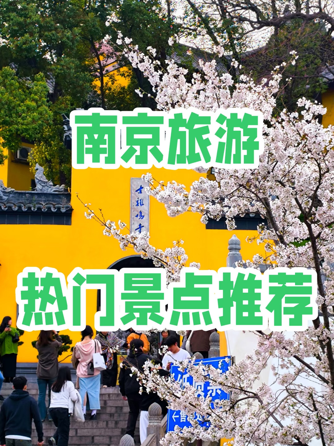 🌸南京旅游热门景点推荐（清明版）