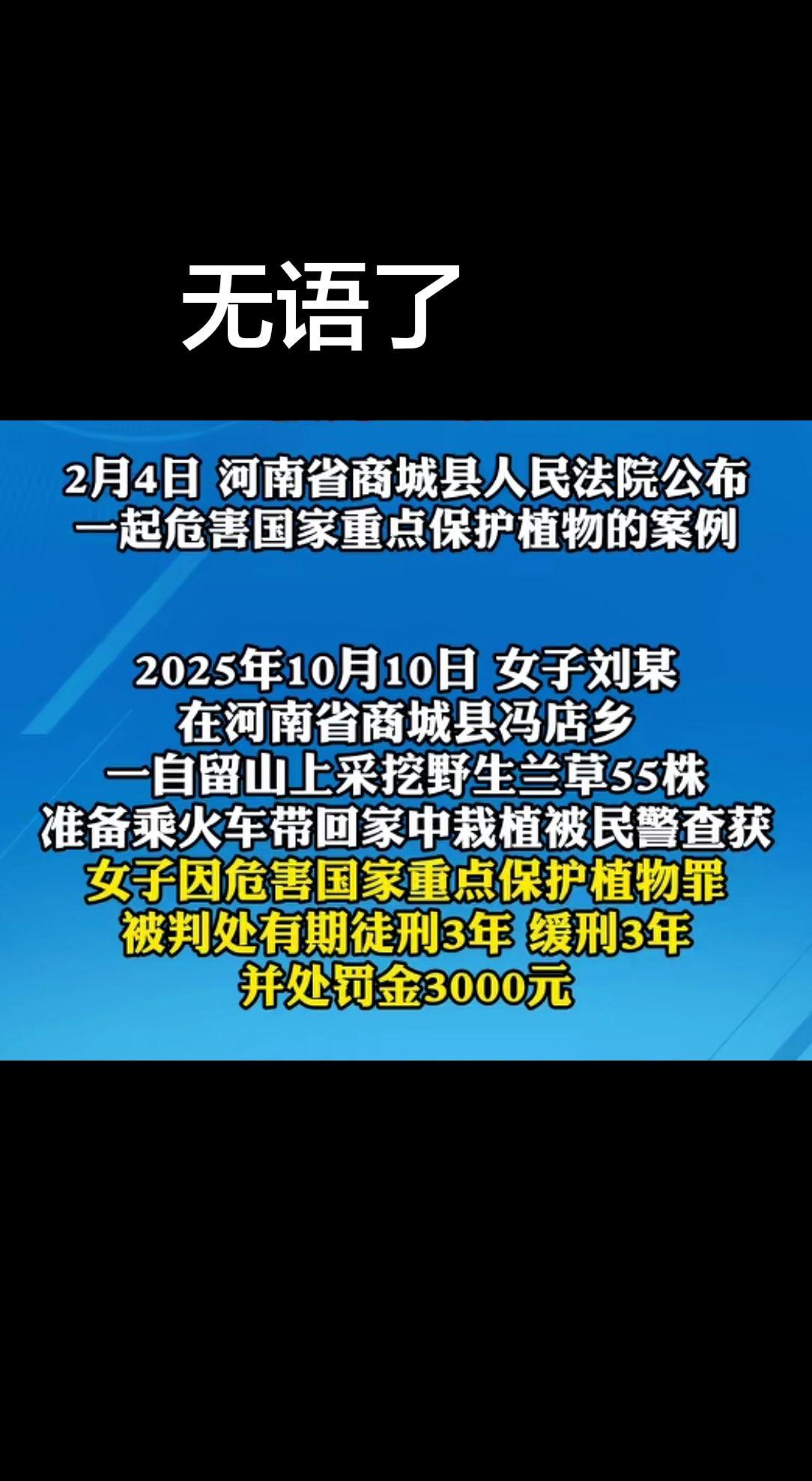 真实生活分享官 法律科普 热点 河南 冷知识科普