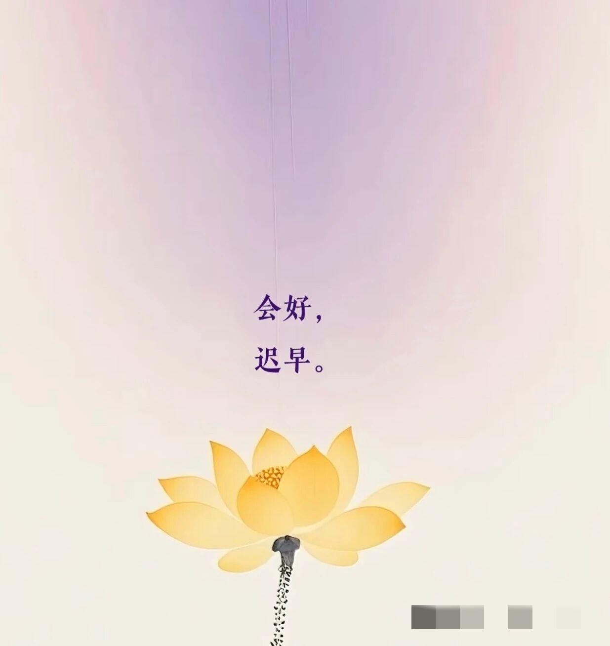 今天看到这样一段话，分享给大家，也为自己记录一下。他说：
树在落叶时最像树，
人