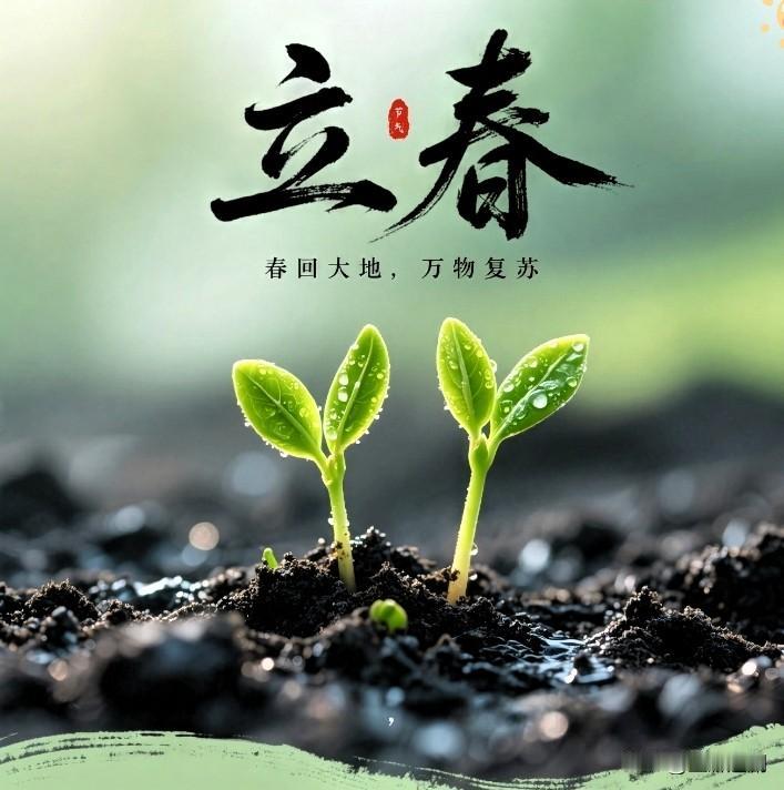 快看好消息！2026立春凌晨4点01分，吉时到春来到！巧踩六九头，双重吉兆叠满，