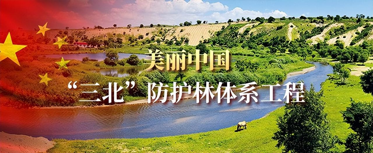 多层次养老与绿色发展同向发力 美丽中国让生态红利走进千家万户

美丽中国生态养老