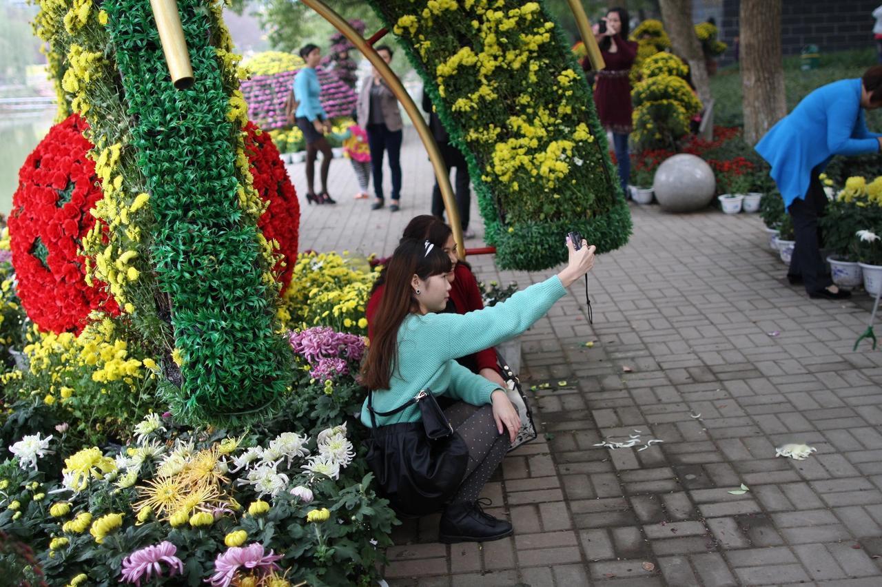 谁还记得这是哪年的菊花展？宜昌 宜见钟情心动宜昌 时光 儿童公园