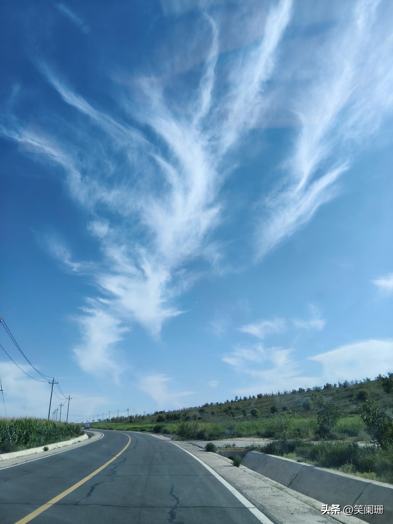 沿路的风景真的很美，去不去花海真的已经无所谓了。
只是说花海有风景，一路每一寸土
