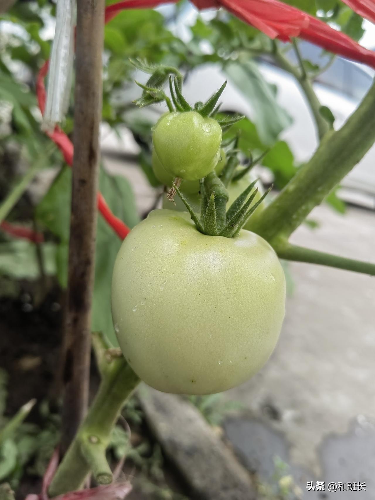老板不会信任你，不要痴心妄想
我个小企业跟一个社会一样，看似平时说说笑笑，其实部