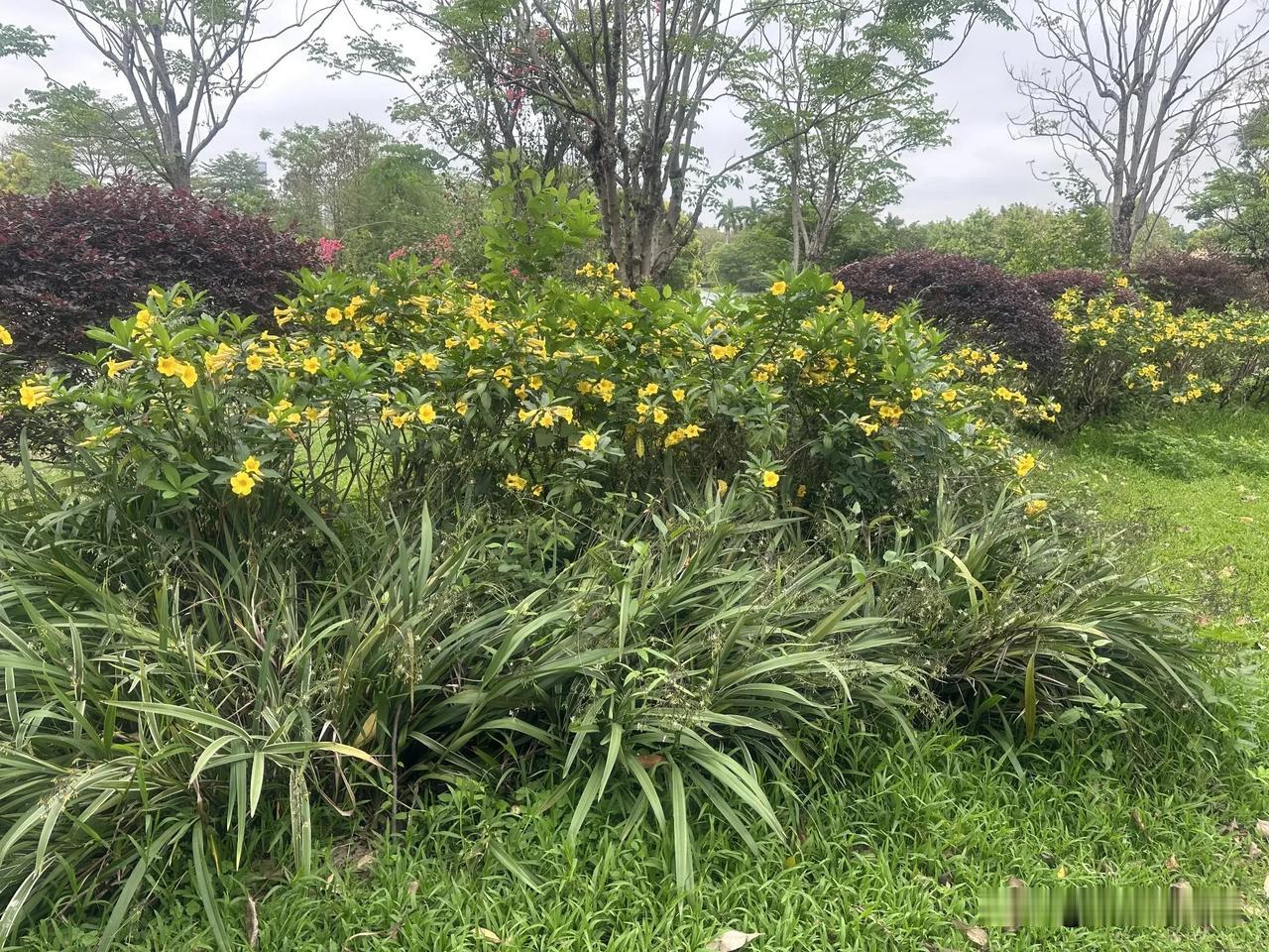 那天朋友问我，当初死磕考研，现在又说不干了，后不后悔。

我想了想，说不后悔是假