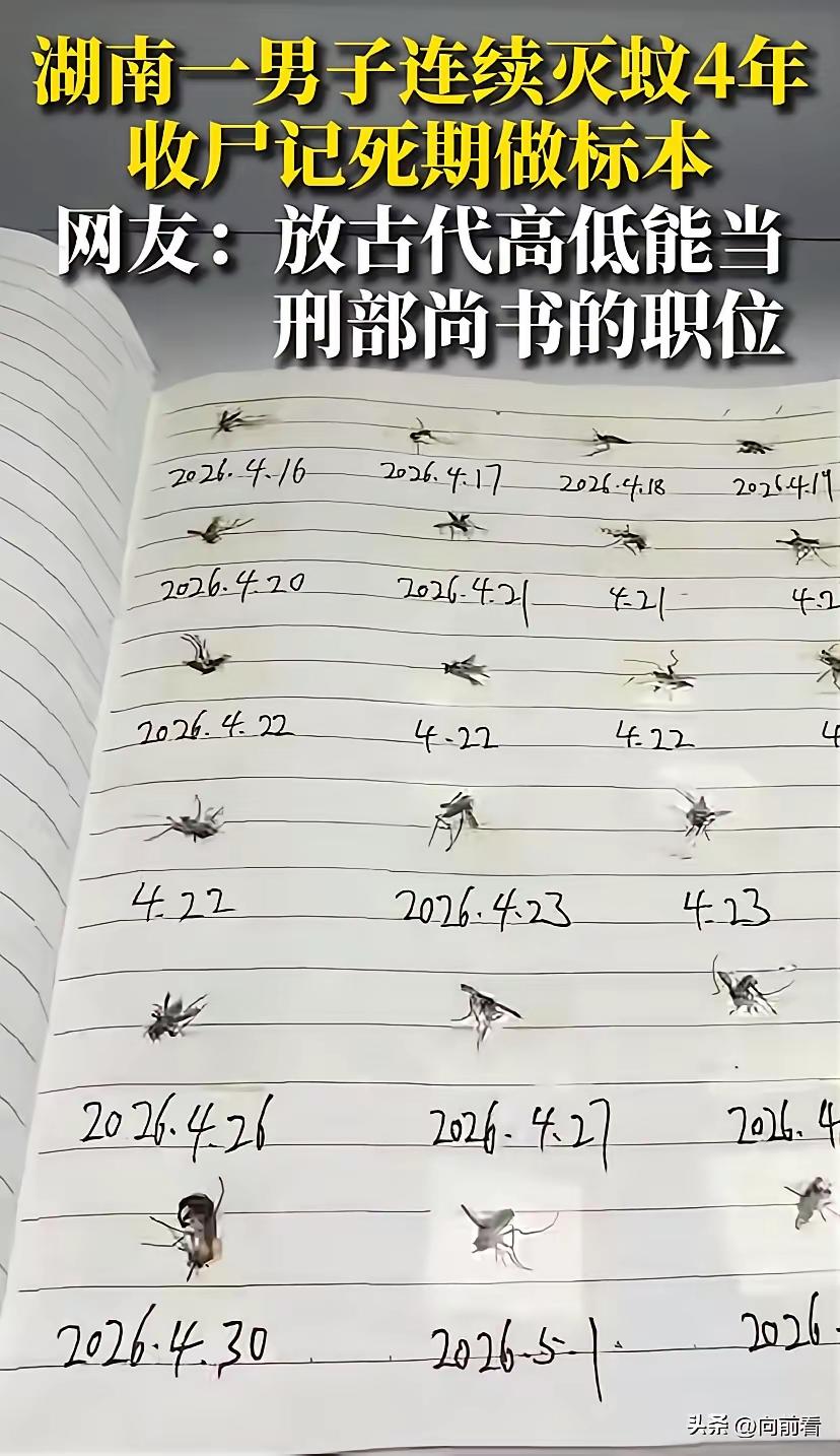 估计，
你没睡好，
蚊子也没吃饱。