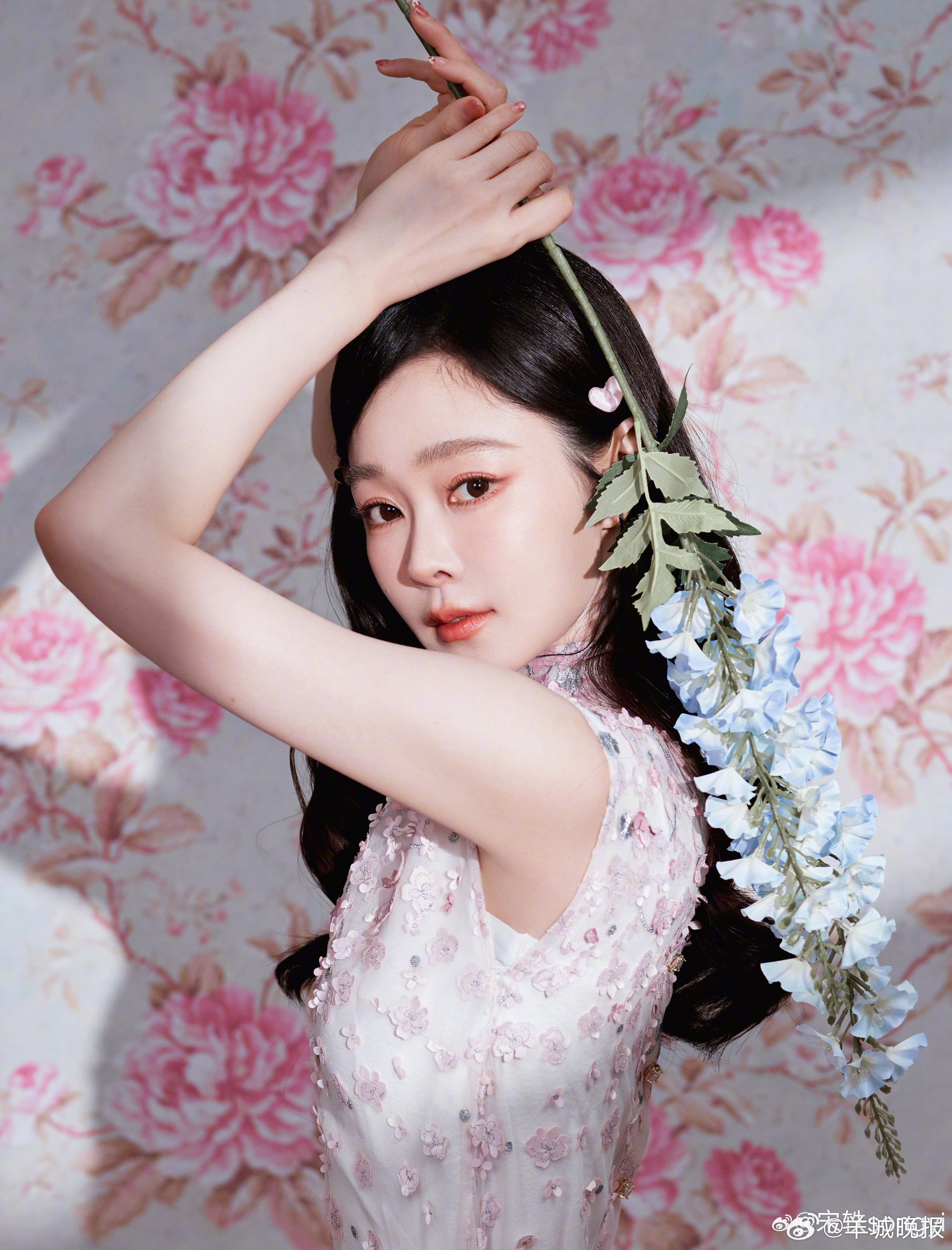 【这些拜年大片中花意十足】一枝花朵总能带来春意盎然，谁的拜年照片别出心裁又春意满