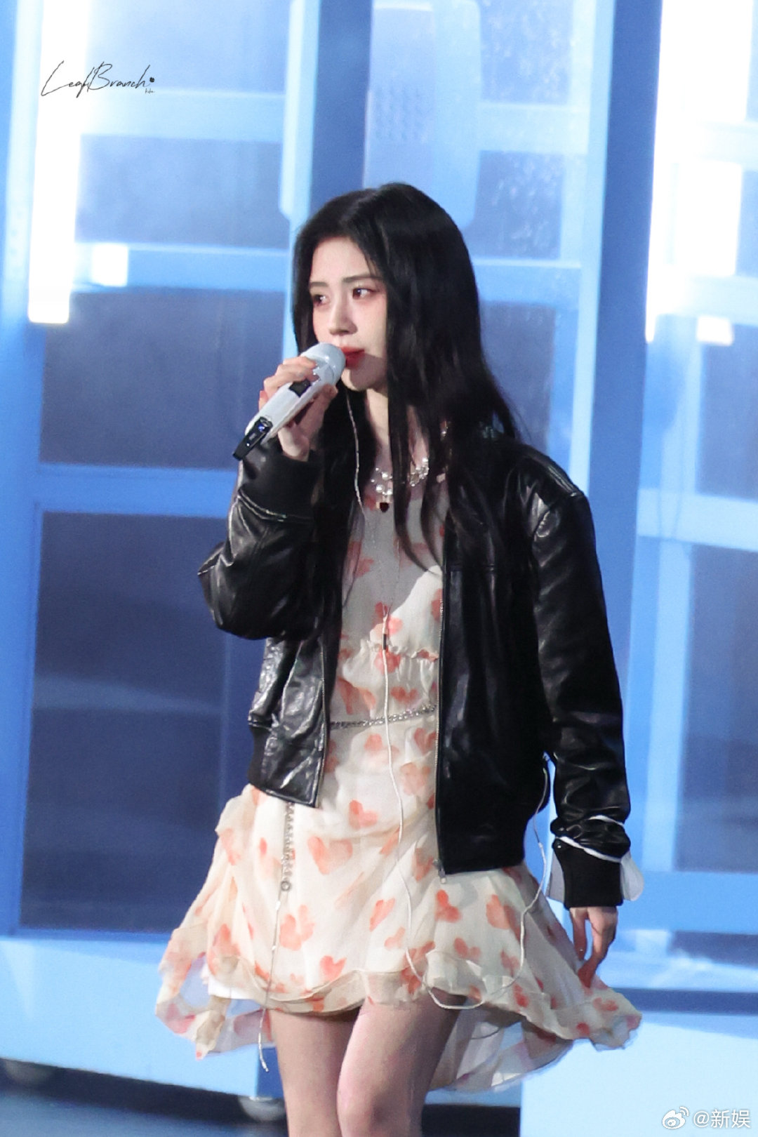 鞠婧祎没走红毯 鞠婧祎没走巅峰之夜红毯鞠婧祎没走红毯？咦~我们这么大一个美女鞠婧