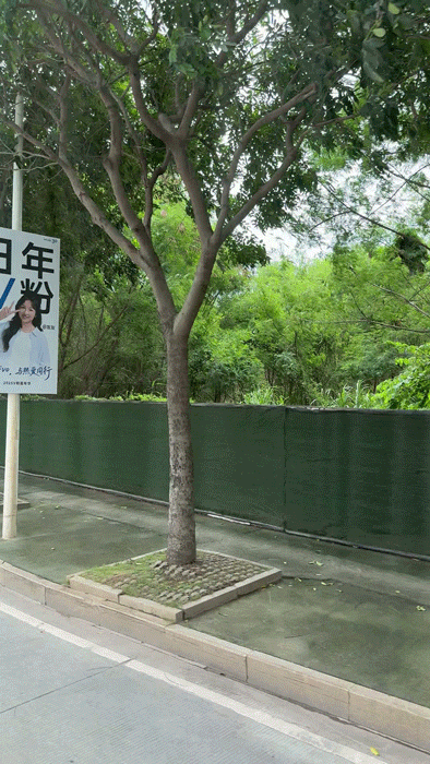 当V粉还是挺幸福的... vivo真的比较宠粉[吃瓜]其他品牌发布会... 路上