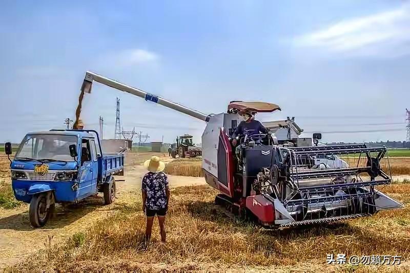 最近某地因农机割麦子发生争执的事件挺有热度，大家各抒己见说什么的都有。其中有个说
