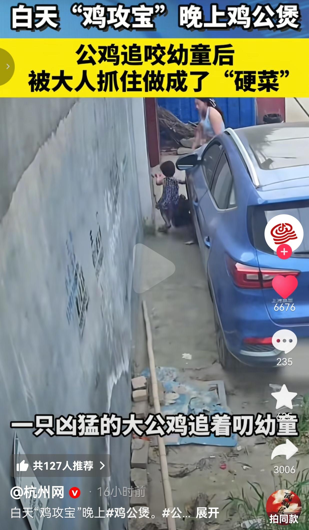 白天公鸡追着孩子啄，当晚就被下锅炖成鸡公煲
 
这事前段时间在乡下邻里圈传得挺热