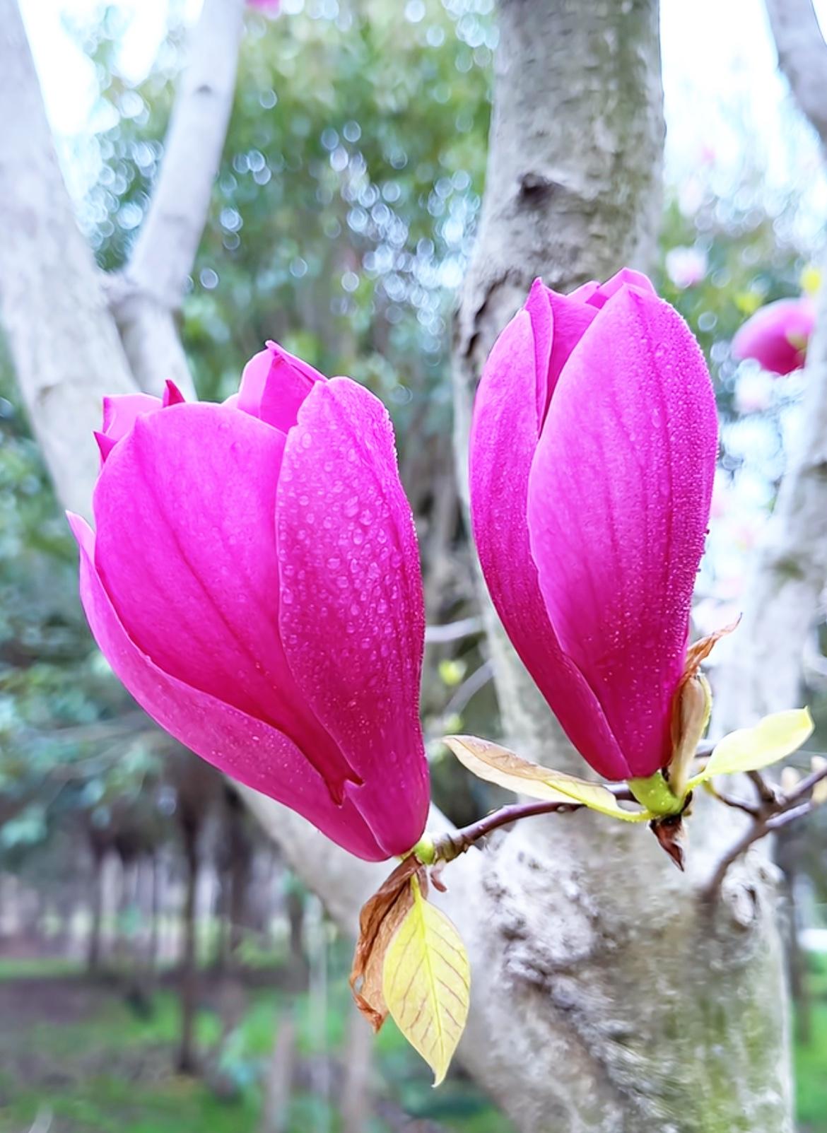 分享一个玄学真相：
​和谁发生了关系，你就会和谁共享因果和业力。只要两人发生了肌