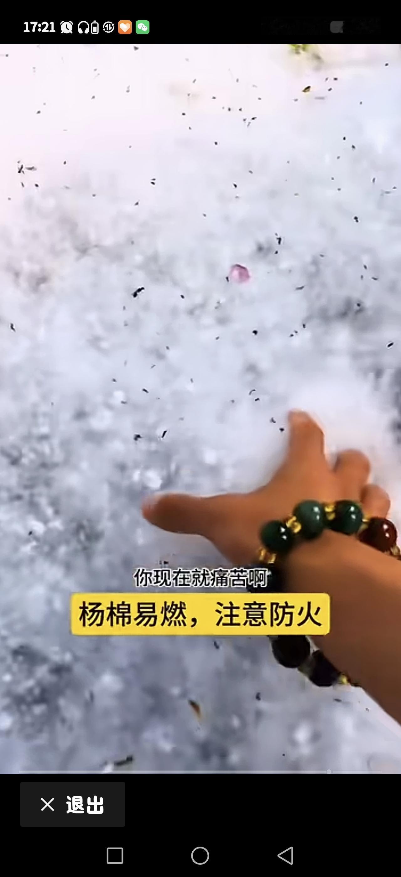 杨树毛（杨絮）的主要危害？？？
 
1. 诱发过敏与呼吸道疾病
 
杨絮本身无毒