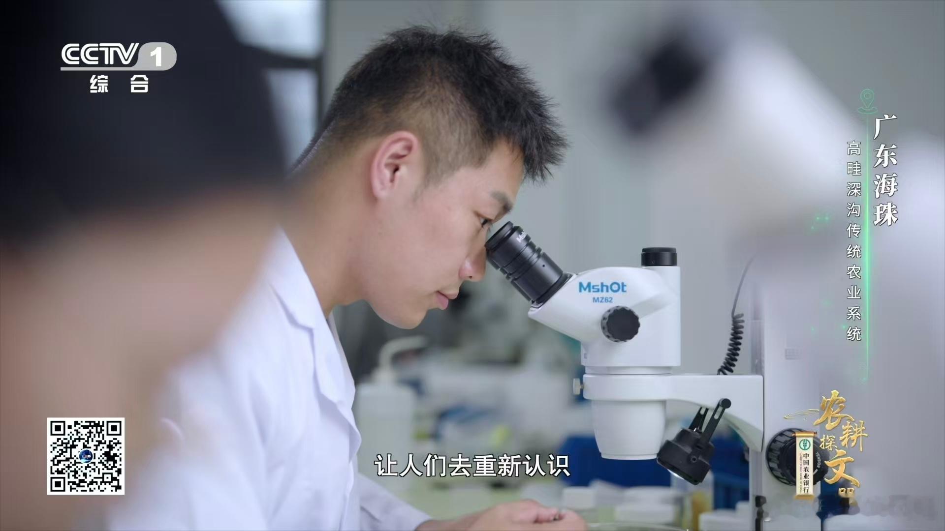 广东近年发现多个新物种天呐！在广东这片神奇的土地上，竟藏着比芝麻还小的海珠微瓢虫