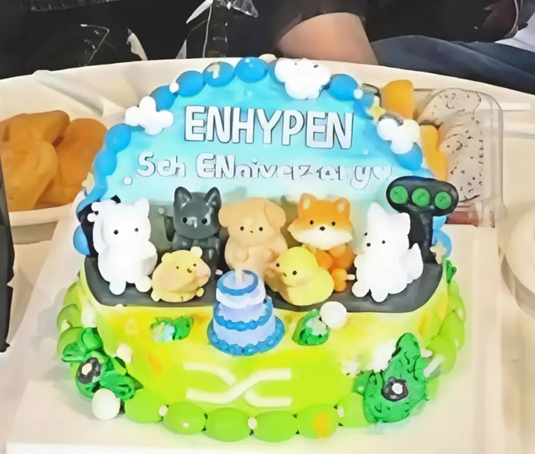 ENHYPEN官娃如果是七个… 