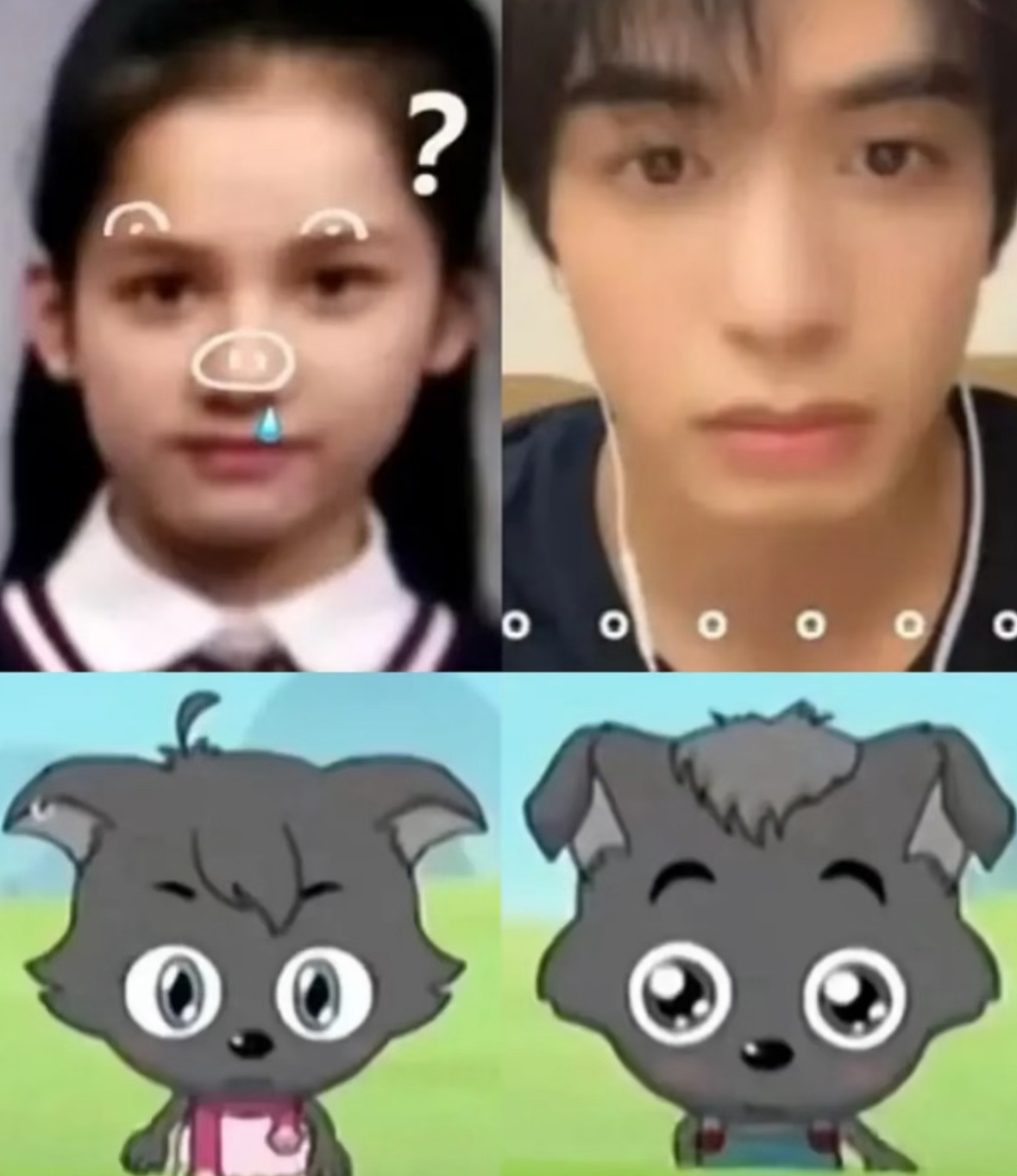 鹅鹅鹅 