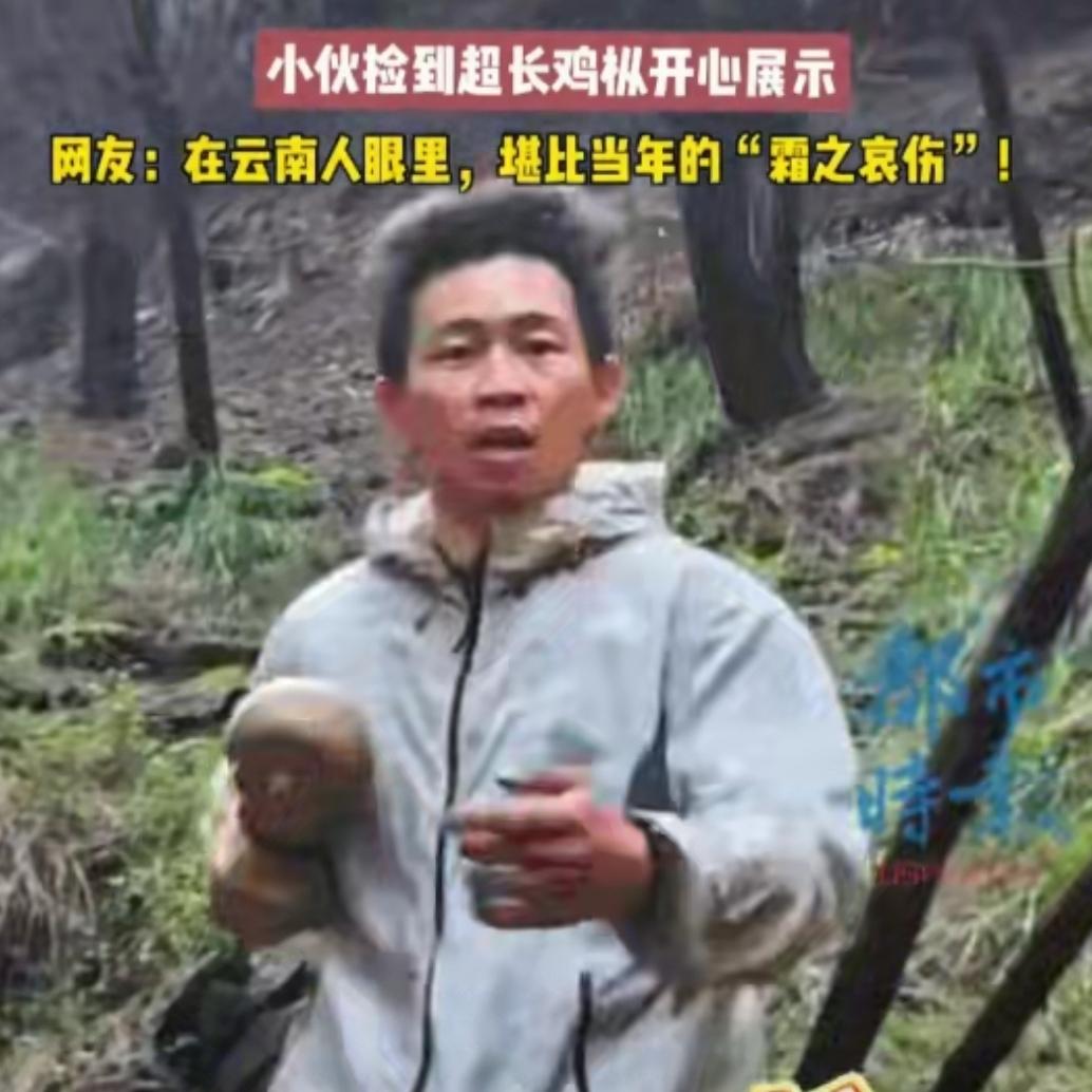 天降横财！重庆一位小伙上山溜达一圈，竟然捡到了一根快有他小臂长的“巨无霸”鸡枞！