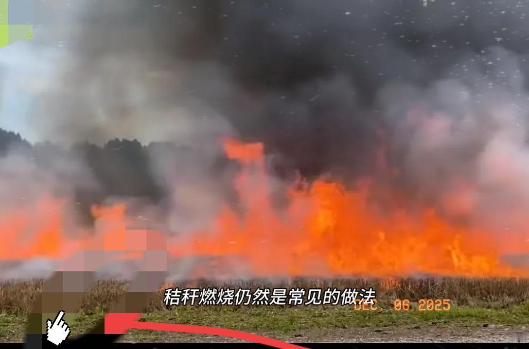 这是闹哪样？秸秆又能烧了？
北京师范大学的一项研究表明，小麦秸秆燃烧过程中形成的