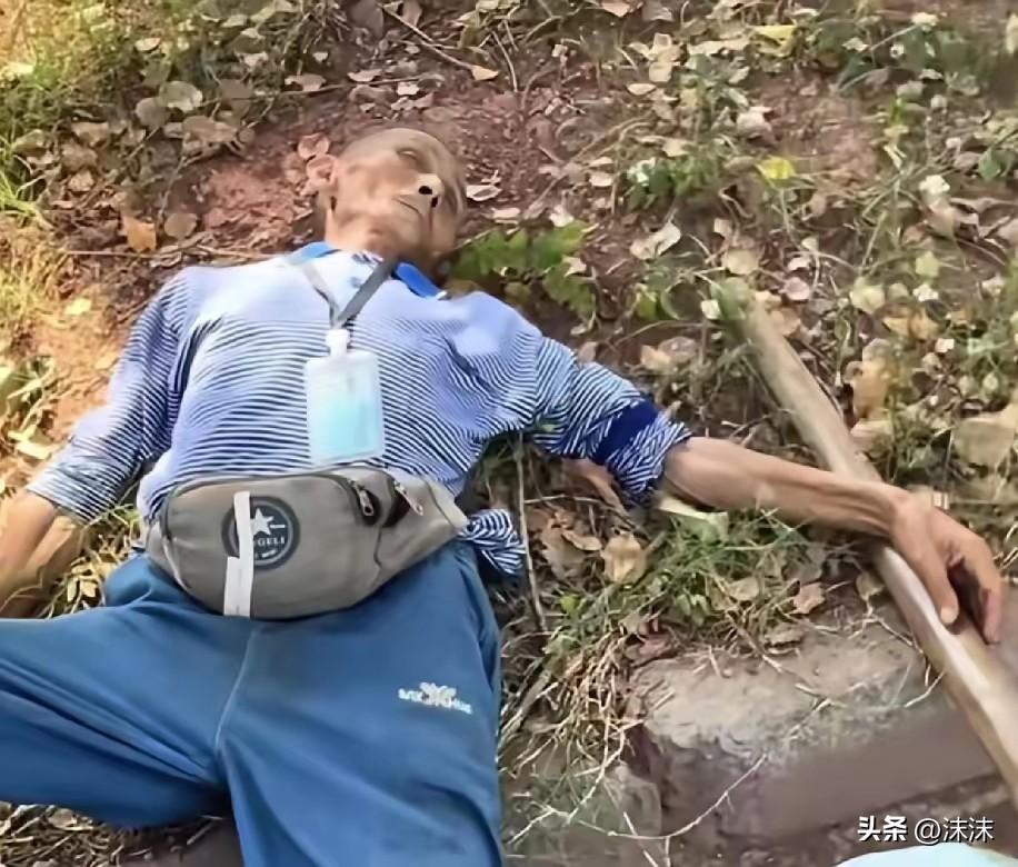 40℃高温躺草坪的卖椒老人，一句赶不上车，原来早已预知大限将至

我等红绿灯时偶