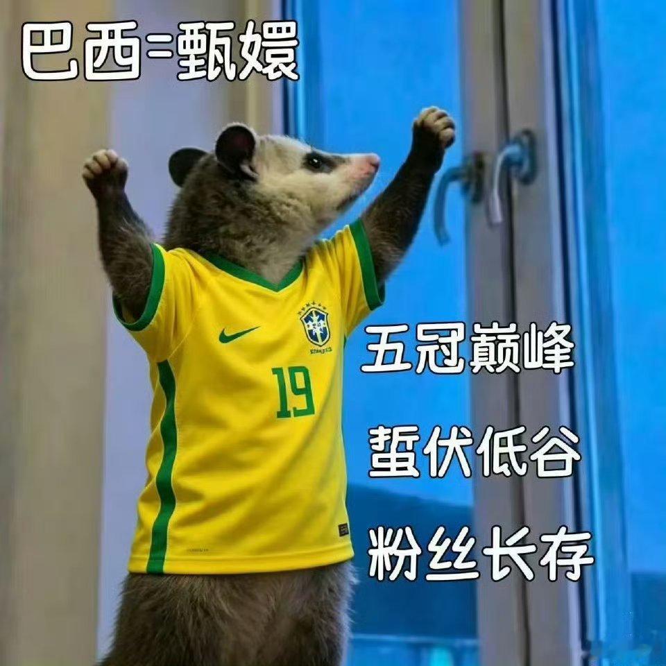 世界杯秒变后宫大戏！阿根廷=宜修，法国=华妃，巴西=甄嬛，我已经开始代入宫斗剧情