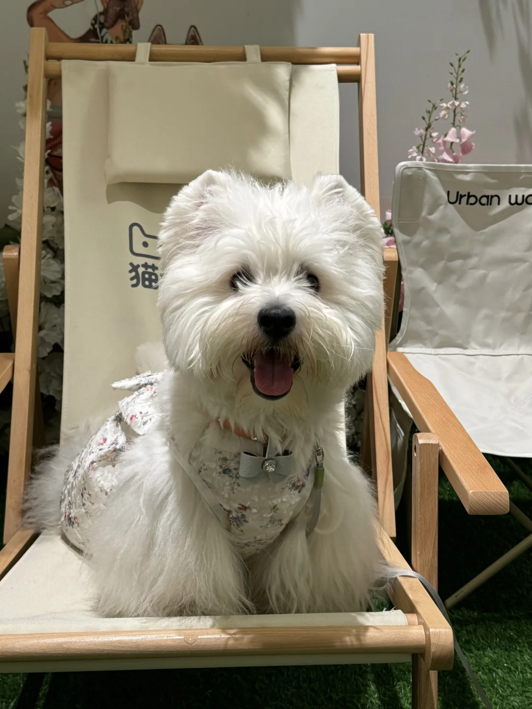 今天是甜妹奶福