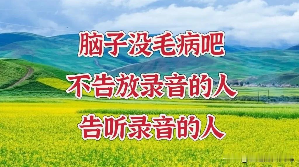 以琛和众多网友都听到了那段男女谈笑风生的录音，里面那个男的用着轻佻谄媚的语调说出