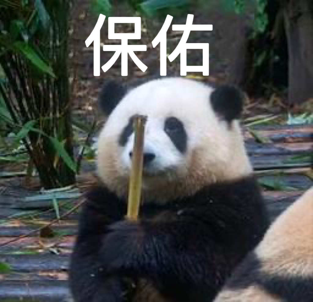 🙏🙏开局控制好节奏 大家减少失误 做好后场篮板 投进空位机会 Go Warr