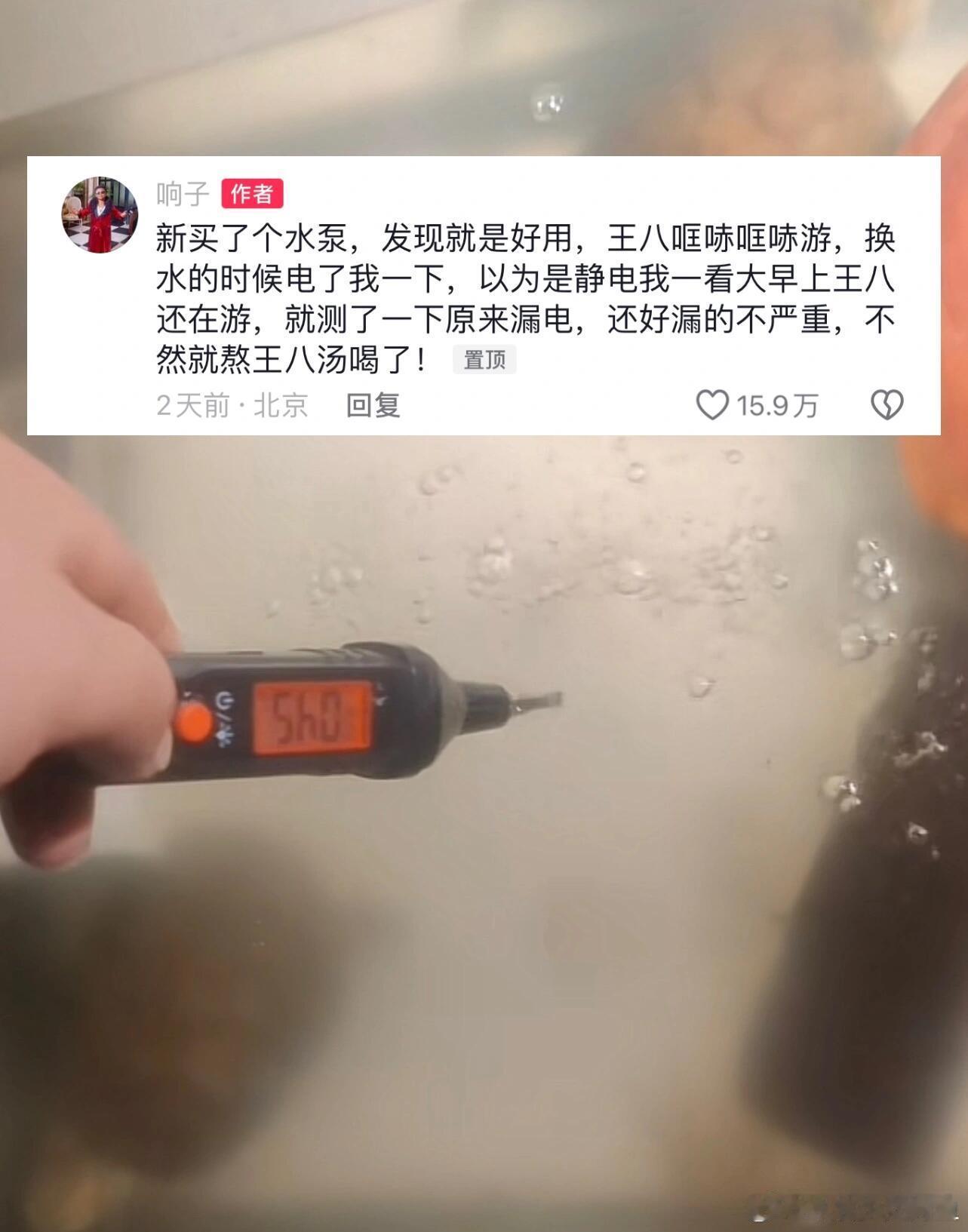 以为乌龟喜欢扑腾没想到是漏电了#以为乌龟喜欢扑腾没想到是漏电了# // #我的春