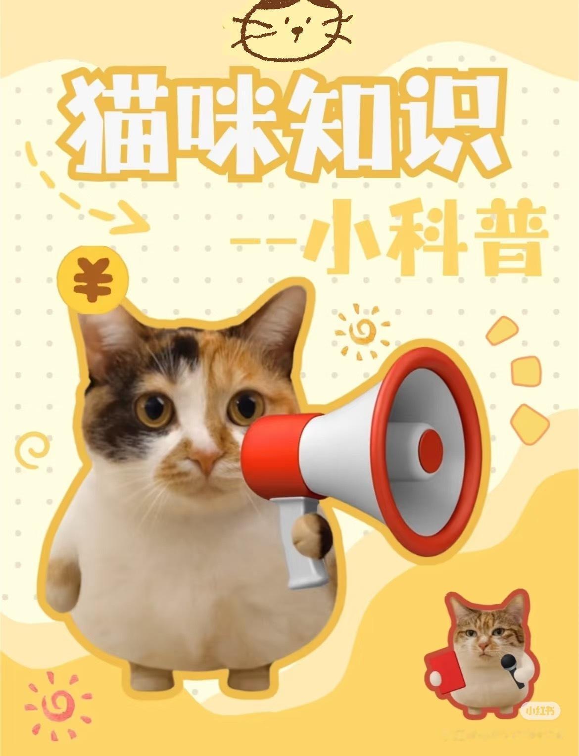 弄懂这些猫咪呕吐再也不紧张了！刚刚养猫的时候，一看到猫咪呕吐不吃不喝、精神状态不