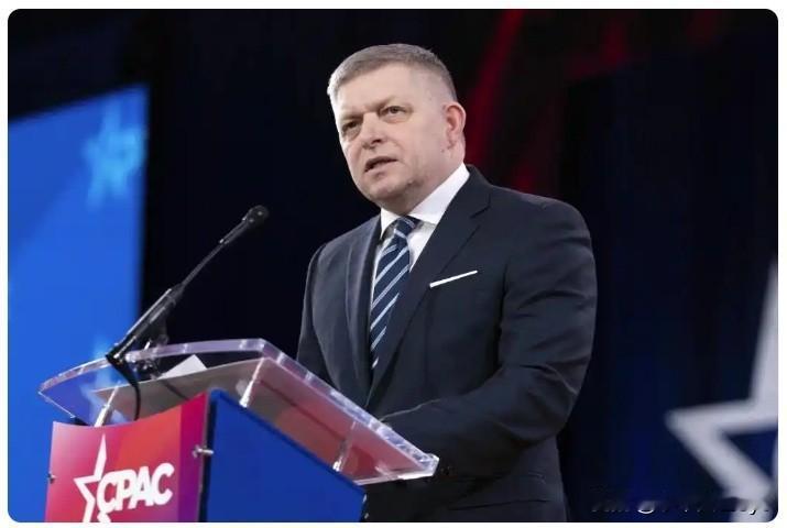 1月1日，斯洛伐克总理菲佐在新年视频致辞中使用包括俄语在内的多种语言，向民众致以