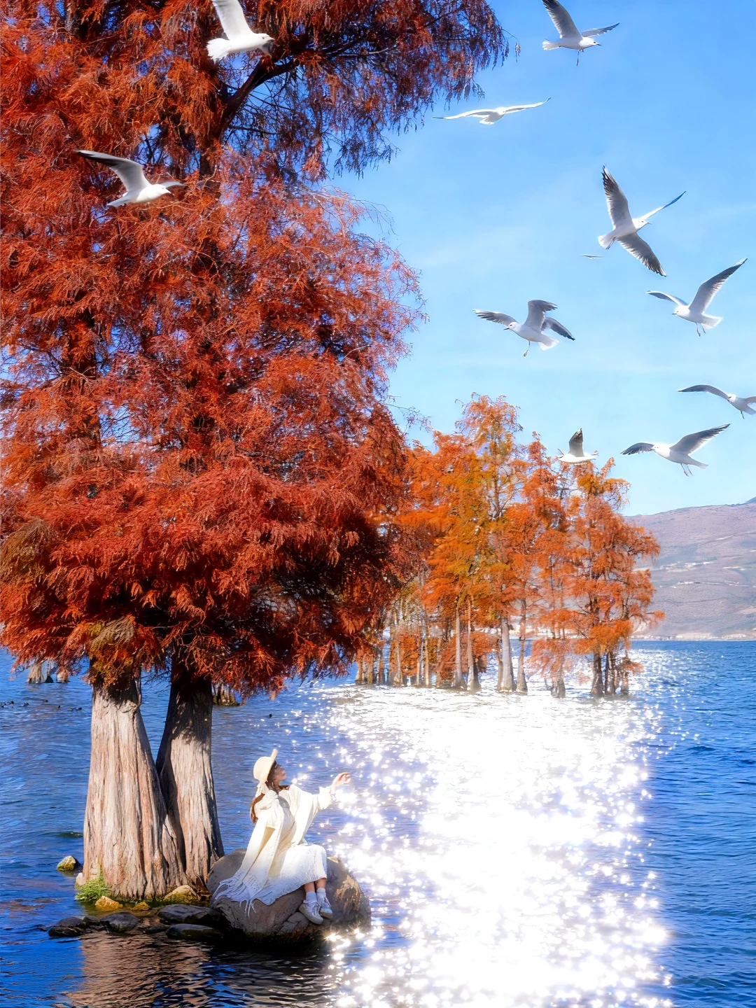 接下来的大理是封神级秋天❗️美的像一幅油画