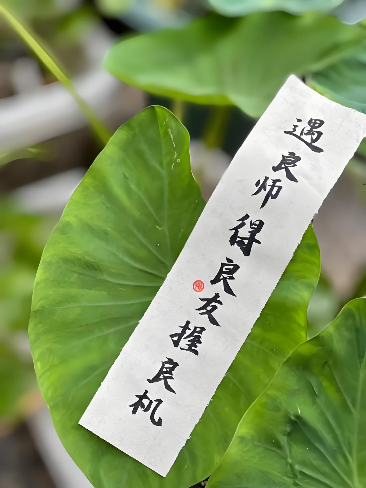 想在头条广交益师良友，一起努力进步，这想法超棒！我上头条 4 年多，发了近千篇原