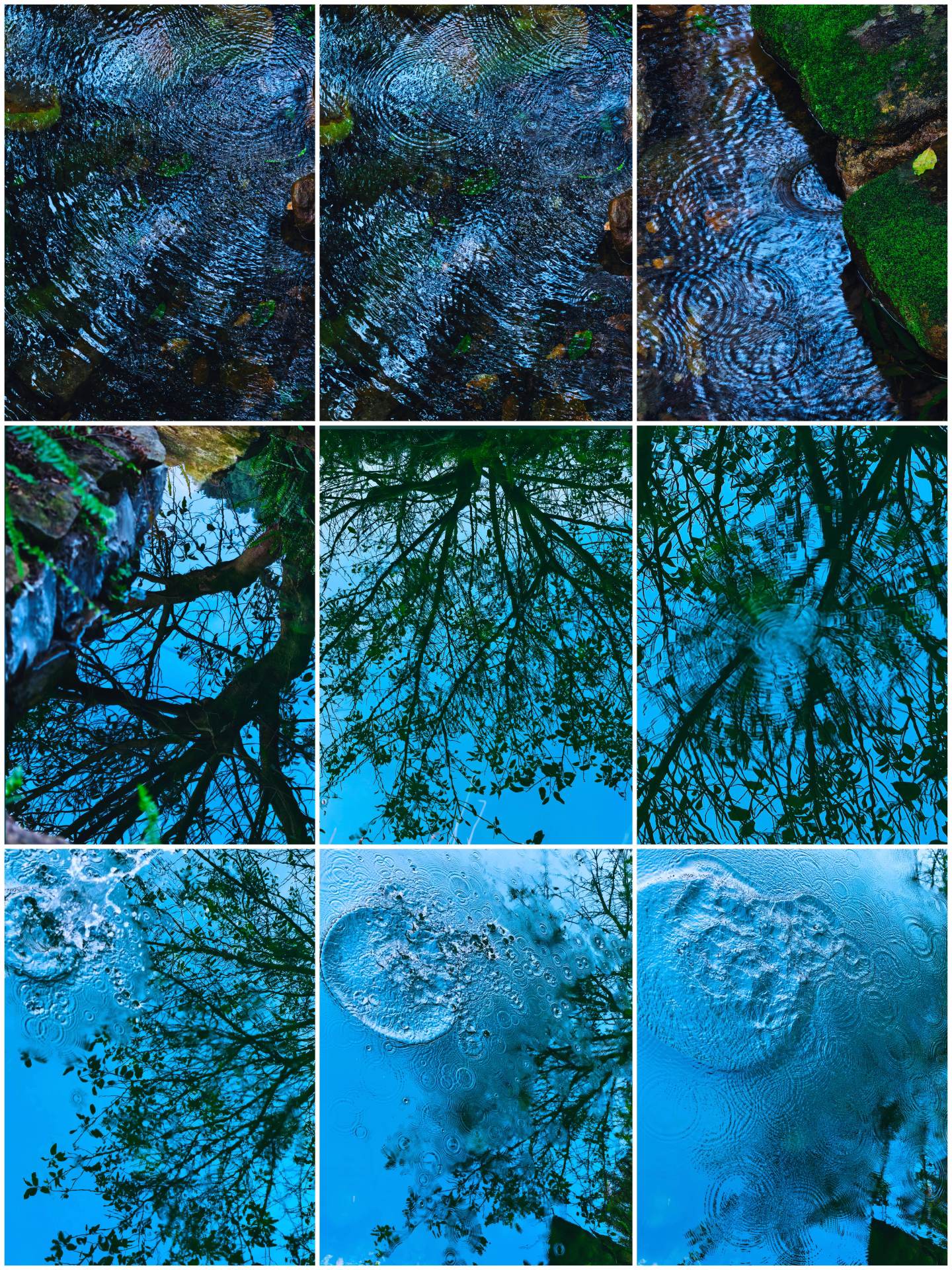 蹲在溪边，看水滴砸出的圈、树影浸在水里的蓝。波纹是水的心跳，倒影是天的...