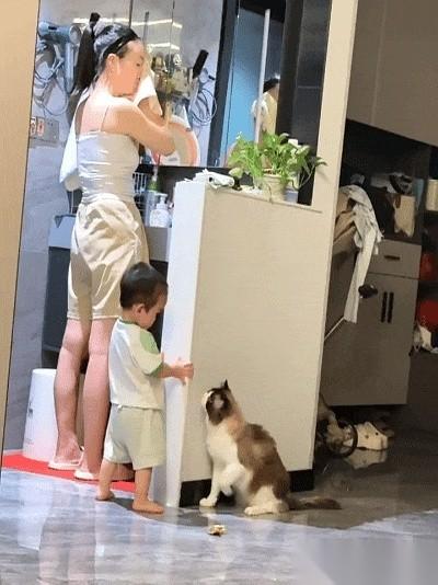 我天，现在当个猫都这么卷了吗？
还得亲自上岗，手把手教家里那个两脚兽幼崽怎么洗脸