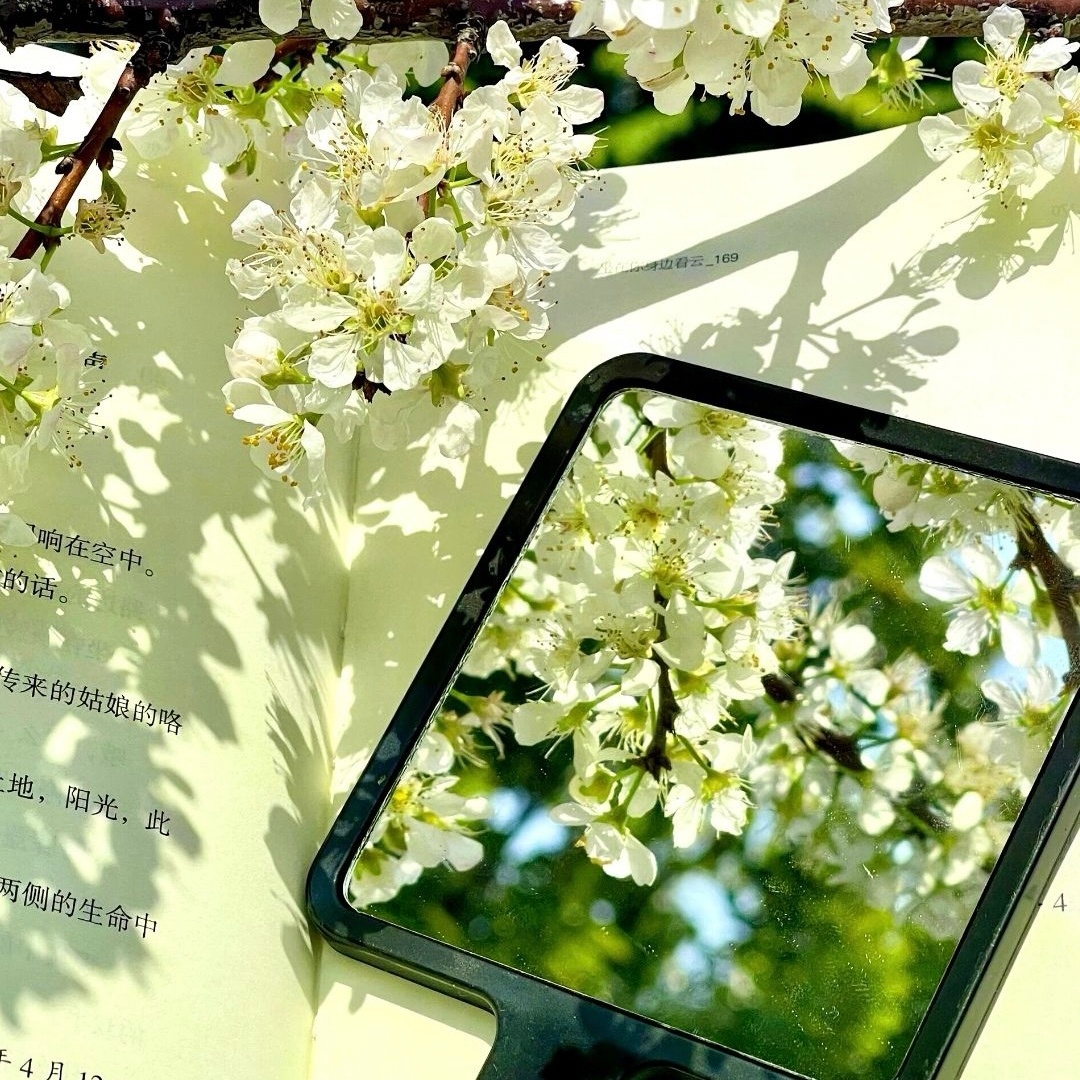 🍃 𝘴𝘦𝘭𝘧 𝘤𝘢𝘳𝘦˚⋆𐙚 ⸝⸝˚“先取悦自己，再照顾人生