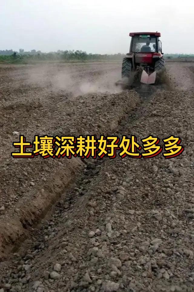 土壤深耕好么土壤深耕有诸多益处。它能打破犁底层，增加土壤通气性与透水性，利于作物