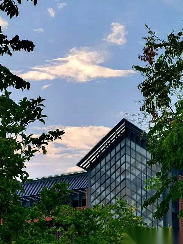 老天爷追着喂饭，都快把勺子怼你嘴里了，你还在问要不要张嘴。
文科530，理科48