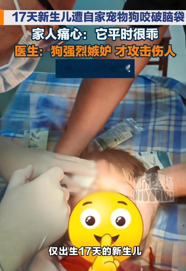 “最担心的事还是发生了！”7月13日报道，浙江一对年轻夫妻养了多年的宠物狗，平时
