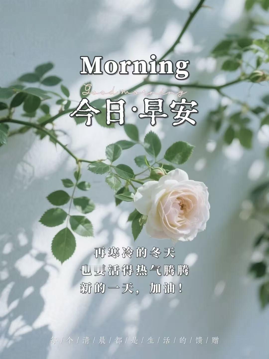 言語不多留芬芳，
問候簡單情意長，
有人牽掛心中暖，
清晨祝福送吉祥。
早上好！