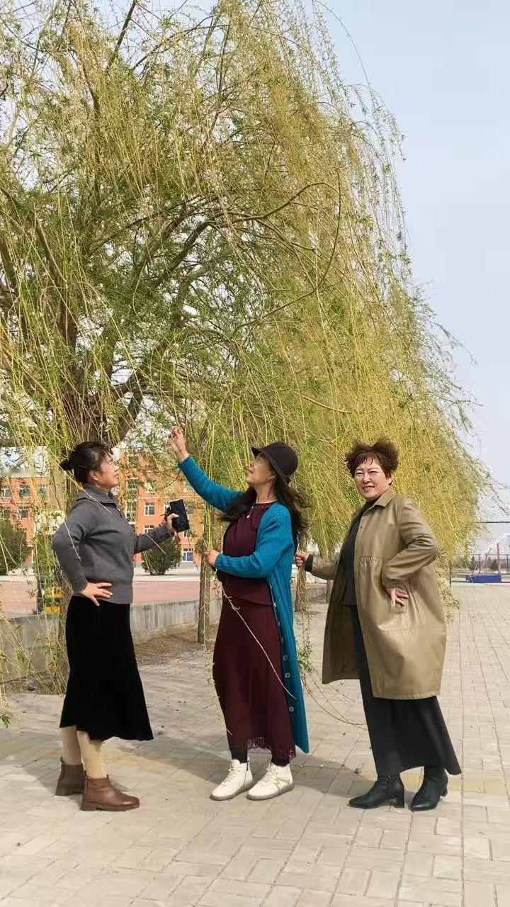 闺蜜们一起在柳树下打卡，笑靥如花！🌿👯‍♀️📸