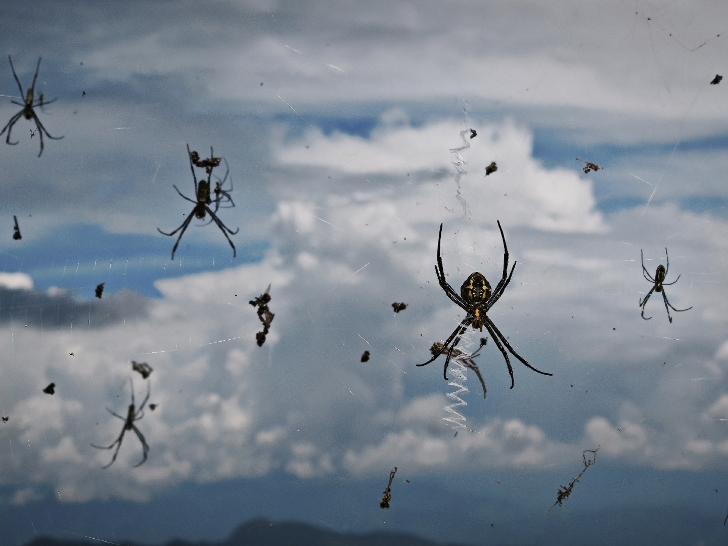 摄影的艺术——恐怖电影也是电影，能让你心头一震的照片就是好照片 