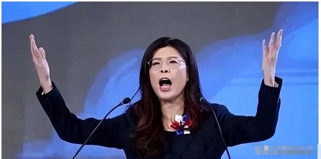 台湾蓝营终于摊牌了！郑丽文公开拒绝“一国两制”，不再模糊回避。这记重拳打向何方？