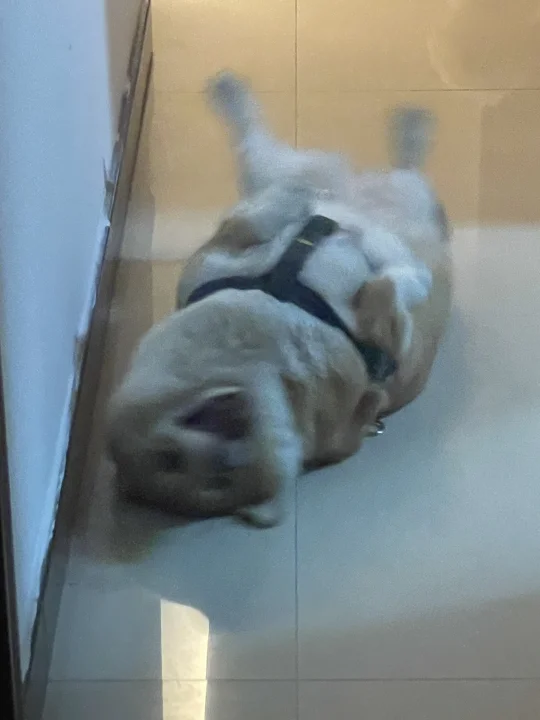 滚筒洗地基（模糊版）