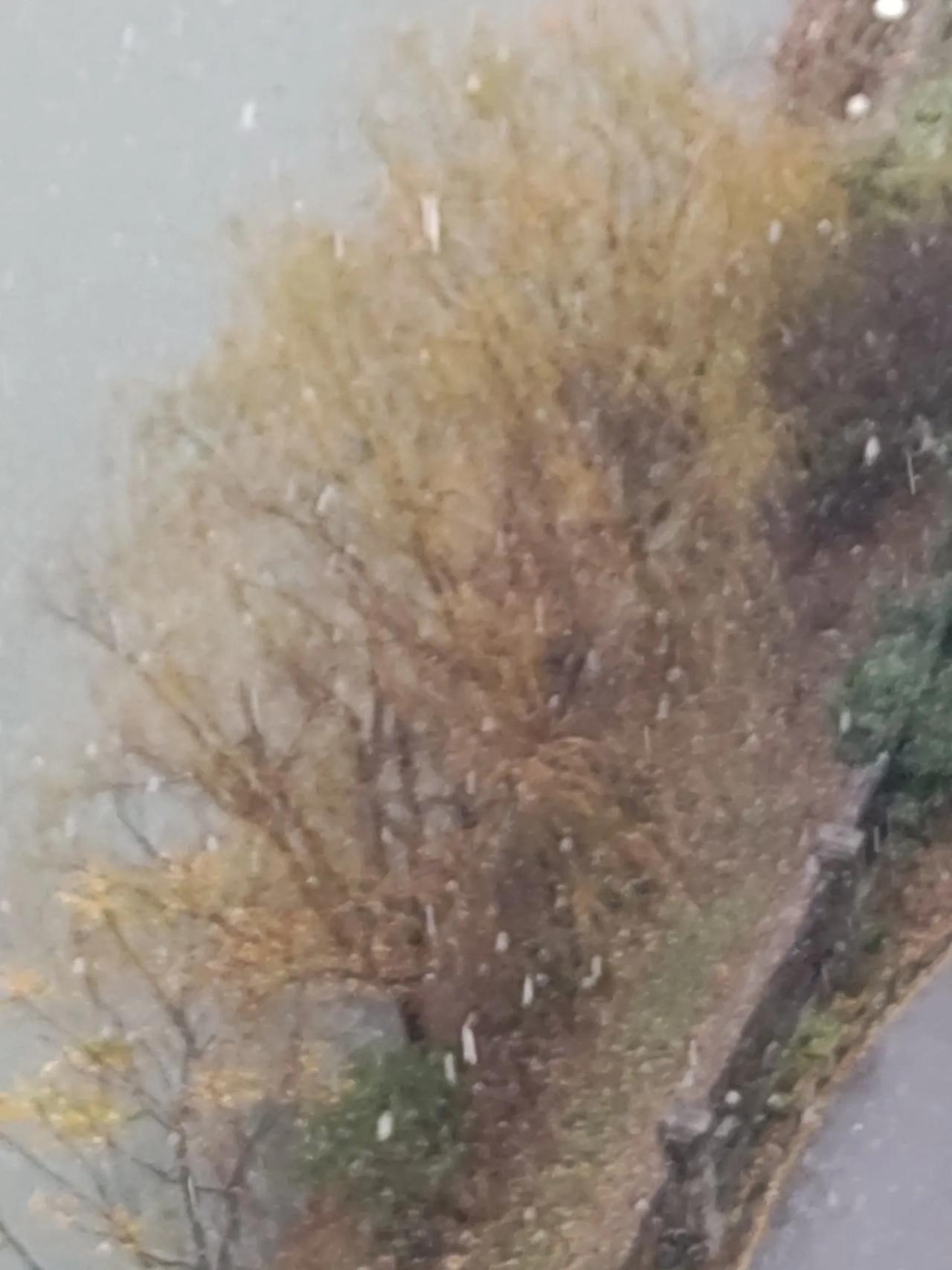 打开冬天的童话（散文诗）

秋冬节气交替，秋去冬来，立冬了。
打开新的季节，打开