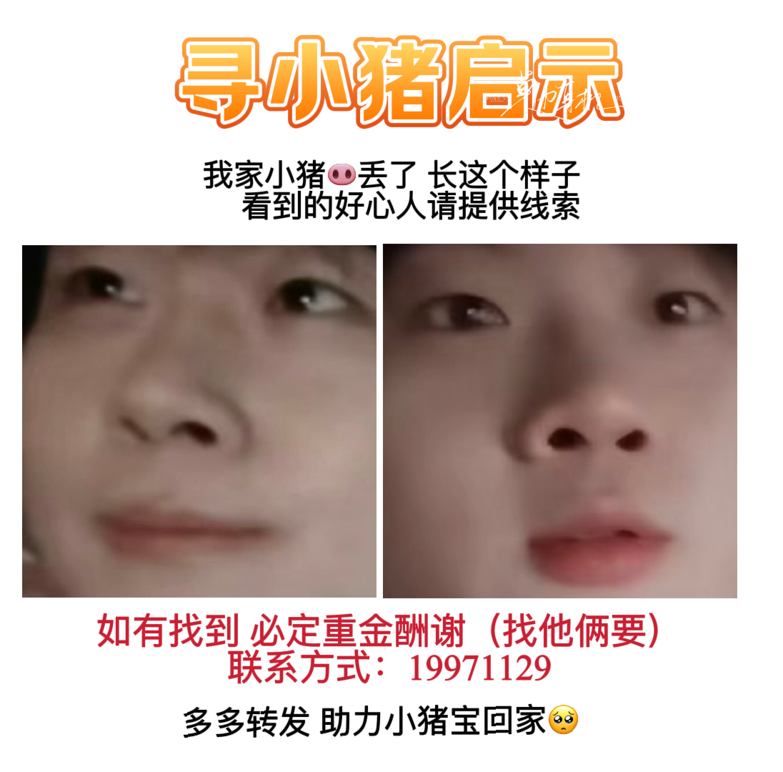 我小猪呢🐽 ​​​