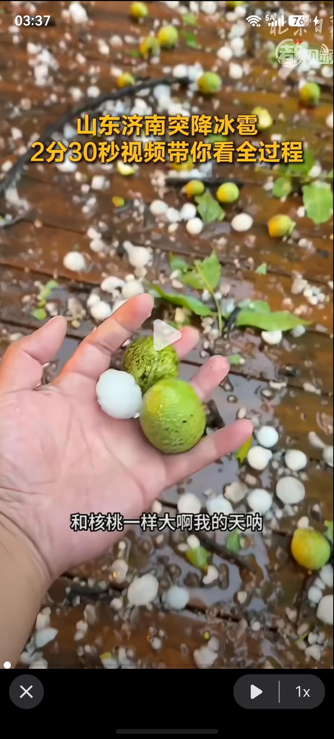 突发灾害天气！
山东济南突降冰雹！
6月5日上午，山东济南突降冰雹。
当地名宿网
