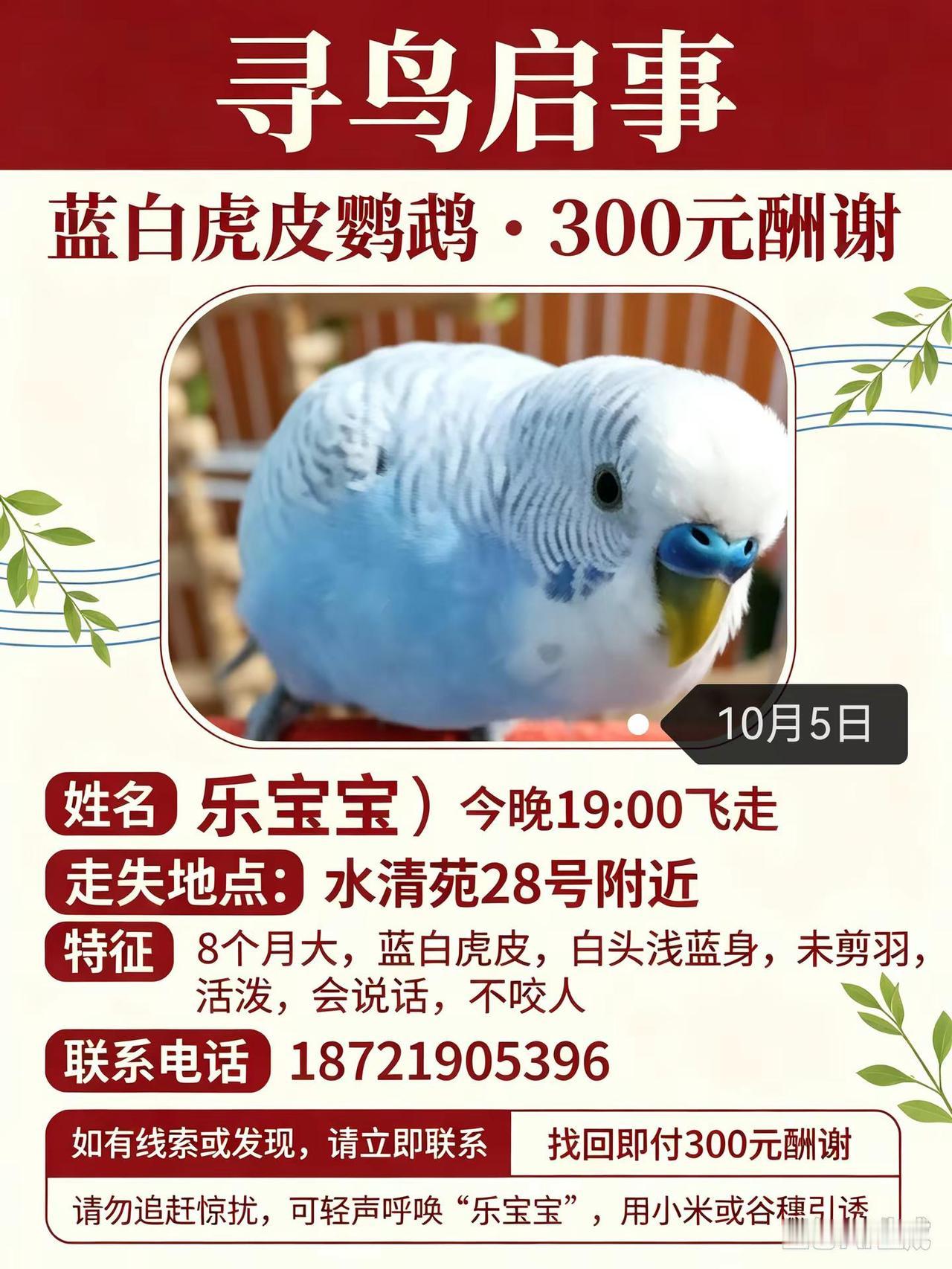 我评论了@粉红姐姐堂娜🥕 的作品：小姐姐您好，我们家丢失一模一样的，是我们带它