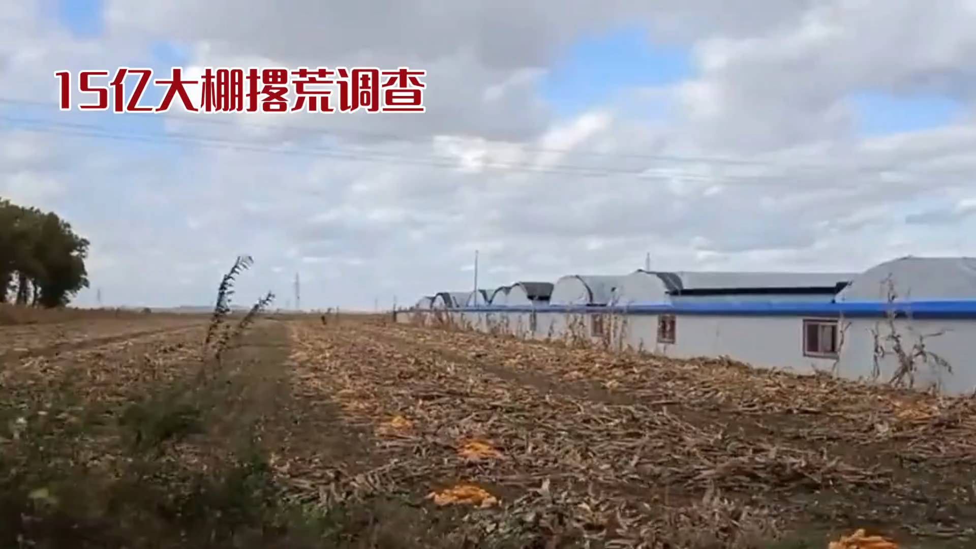 央视曝光投资15亿元项目撂荒，吉林松原成立联合调查组
